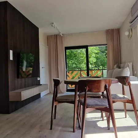 Nova Szrenica View Apartment *